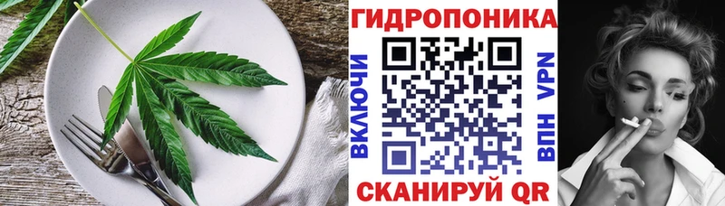 купить наркотик  Ленск  OMG как войти  Cannafood марихуана 